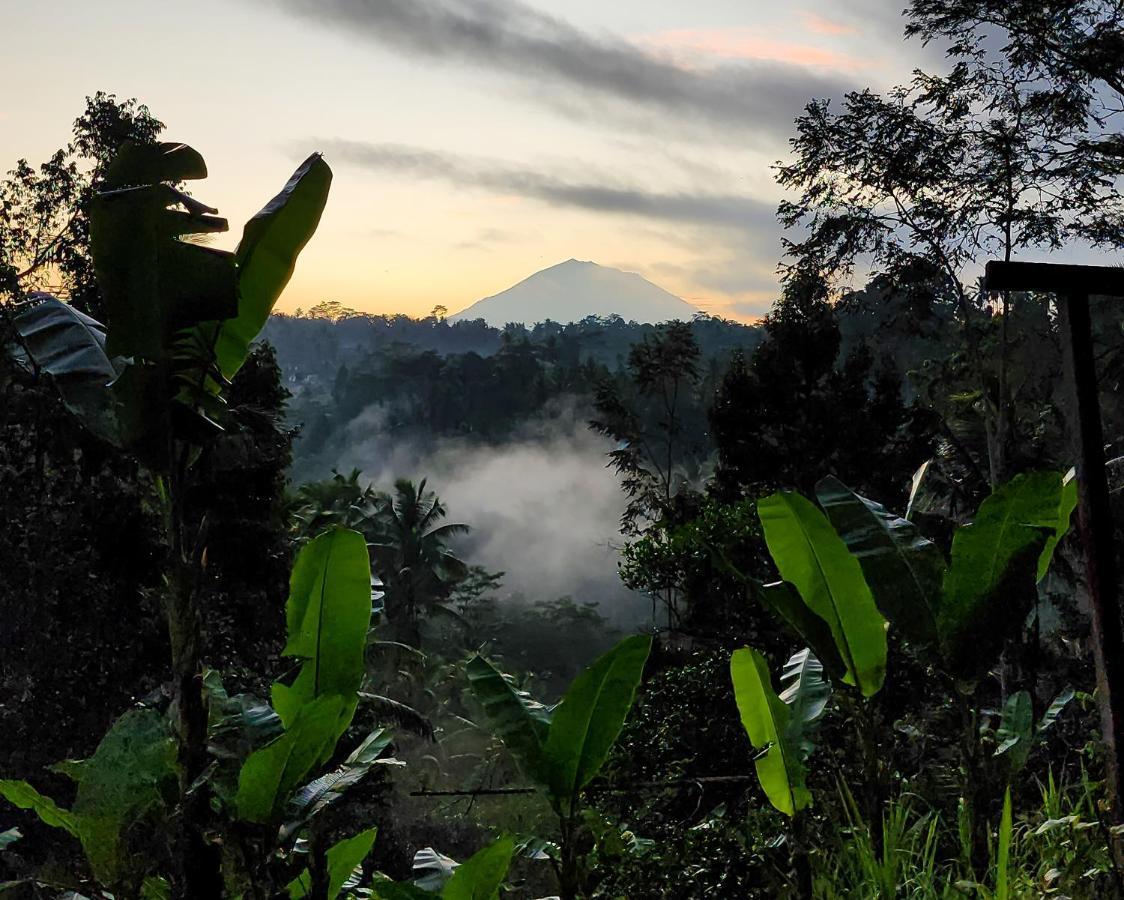 Delta Casa Ubud-Jungle Villas With Volcano View Payangan Exterior foto