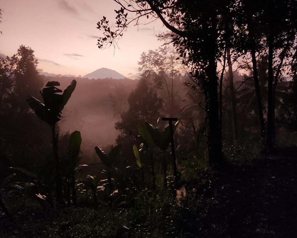 Delta Casa Ubud-Jungle Villas With Volcano View Payangan Exterior foto